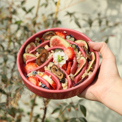 [Spark] Slow Feeder Dog Bowls - Red / Green / Blue by PEHOM