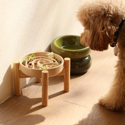 [Spark] Slow Feeder Dog Bowls - Red / Green / Blue by PEHOM