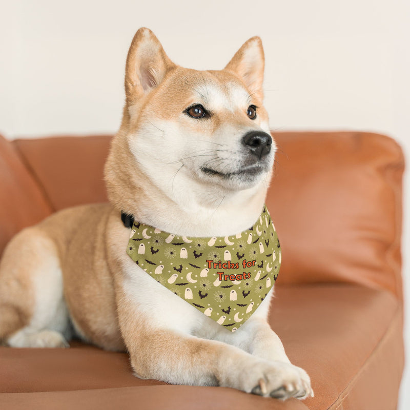 Pet Halloween Bandana Collar