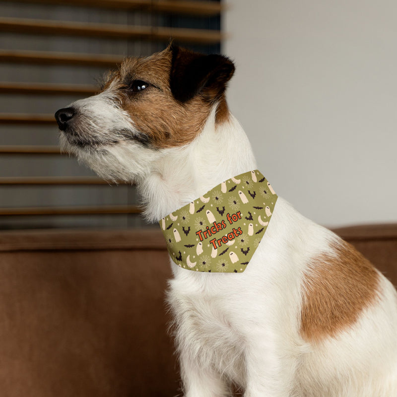 Pet Halloween Bandana Collar