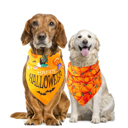 Spooky Paws Halloween Pet Saliva Towel by Dog Hugs Cat