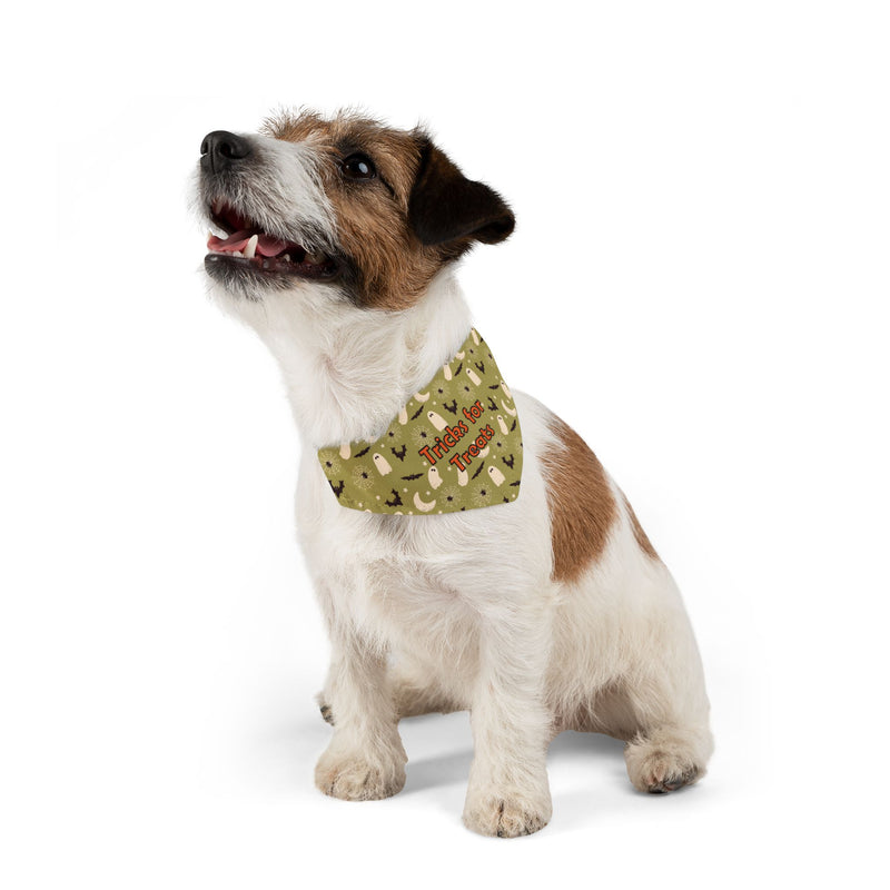 Pet Halloween Bandana Collar