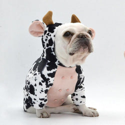 Cow Print Pet Costume - Adorable And Creative Dog Clothes by Dog Hugs Cat