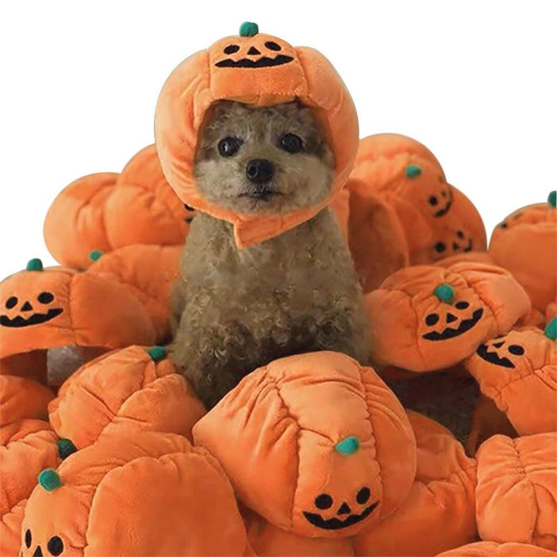 Purrfect Pumpkin Pet Hat: Adorable Halloween Costume For Cats And Small Dogs by Dog Hugs Cat