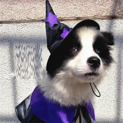 Enchanting Pet Halloween Wizard Costume Set by Dog Hugs Cat