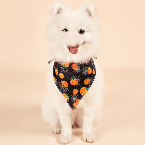 Spooky Halloween Reversible Drool Bib For Pets by Dog Hugs Cat