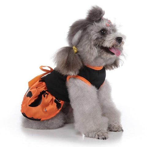 Magical Halloween Pet Costume: Wizard Dress For Dogs by Dog Hugs Cat