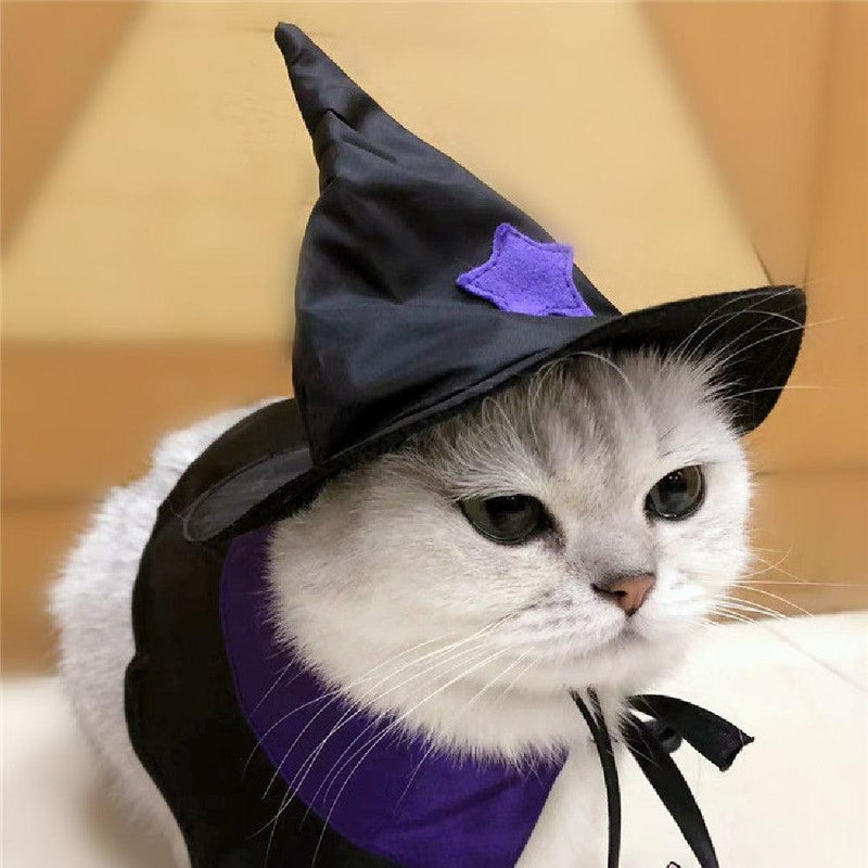 Enchanting Pet Halloween Wizard Costume Set by Dog Hugs Cat