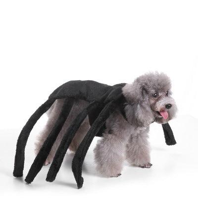 Spooky Festive Dog Costume by Dog Hugs Cat