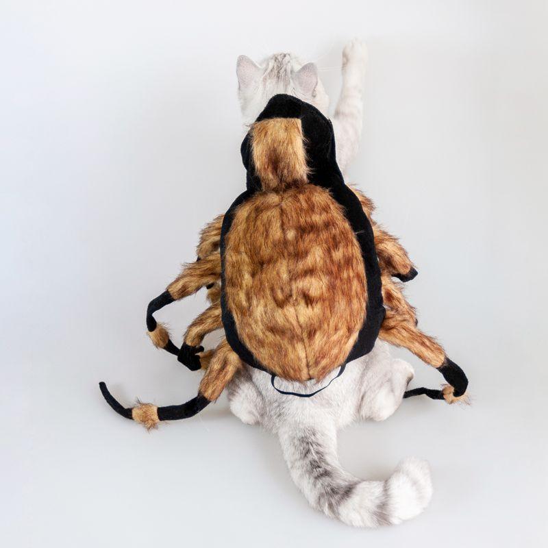 Spider Costume For Pets: Transform Your Furry Friend Into A Spooky Arachnid! by Dog Hugs Cat