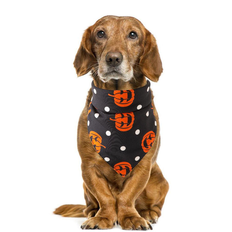 Spooky Paws Halloween Pet Saliva Towel by Dog Hugs Cat