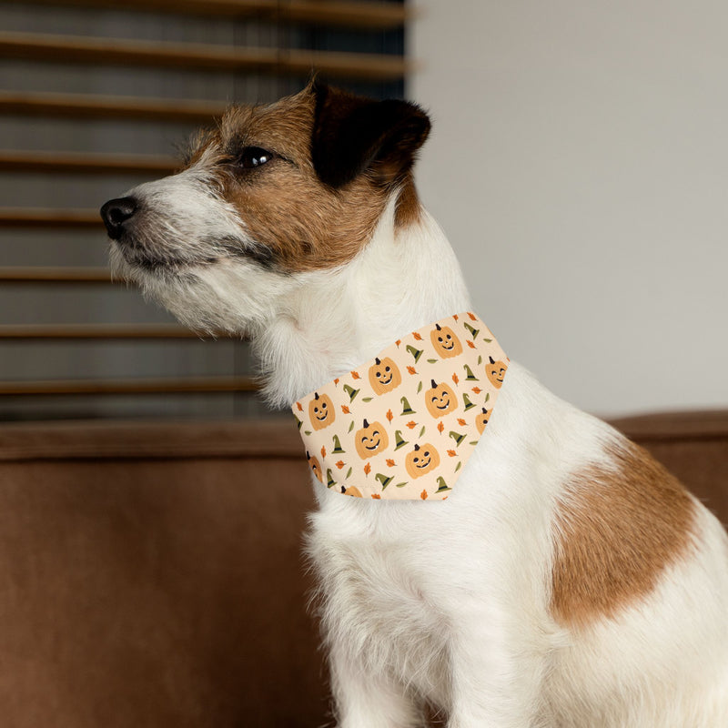 Pet Halloween Bandana Collar