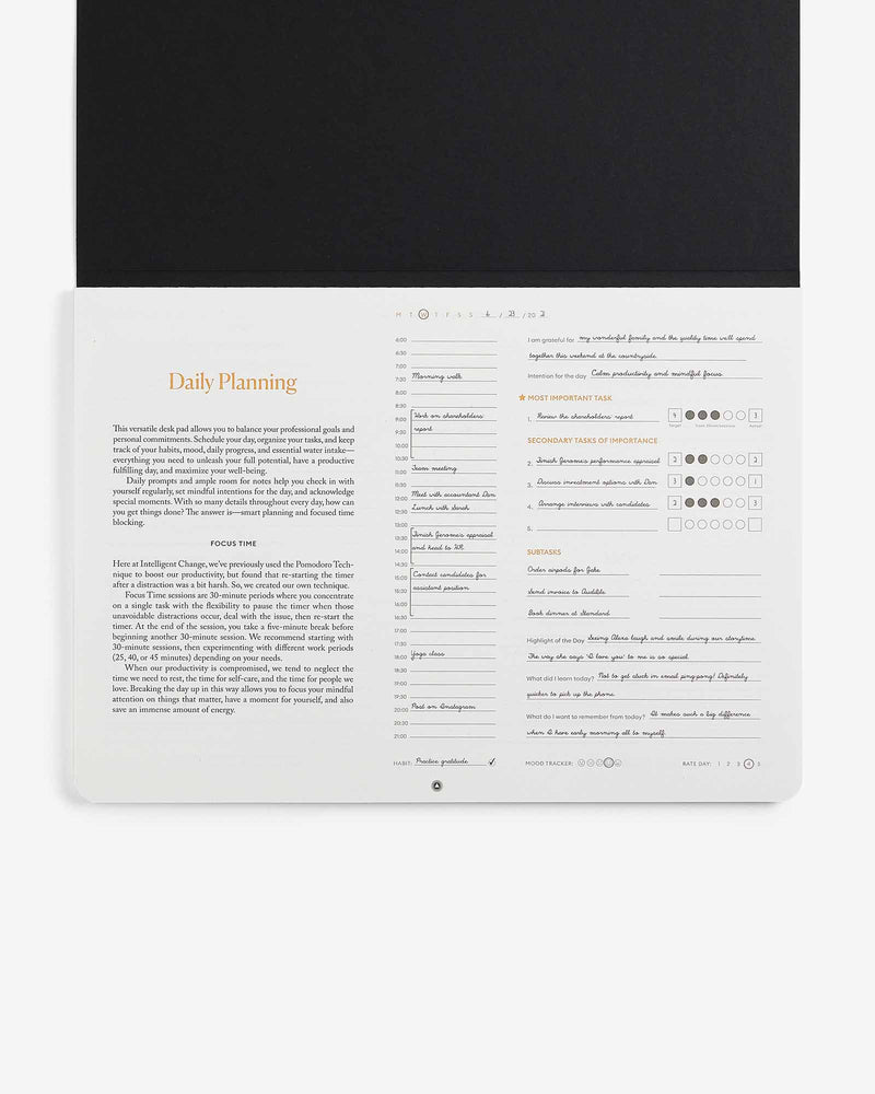 Productivity Daily Desk Pad by Intelligent Change