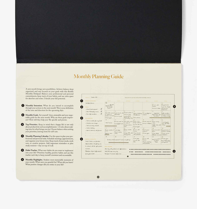 Productivity Monthly Desk Pad by Intelligent Change