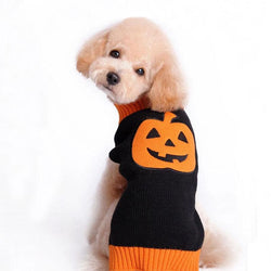 Spooky Pumpkin Pup Sweater by Dog Hugs Cat