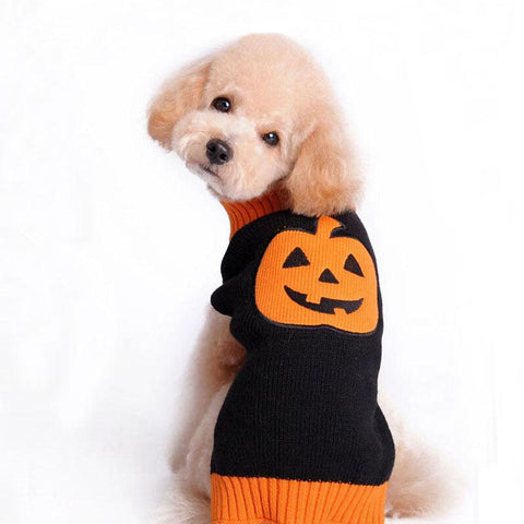 Spooky Pumpkin Pup Sweater by Dog Hugs Cat