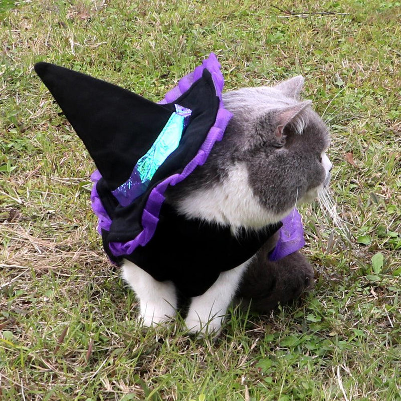 Christmas Enchanter Pet Halloween Dog Costume by Dog Hugs Cat