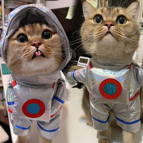 Funny Dog Space Suit Halloween Costume by Dog Hugs Cat