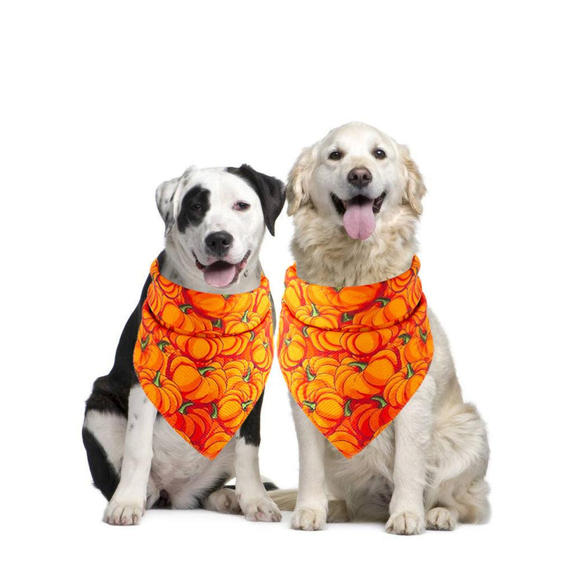 Spooky Paws Halloween Pet Saliva Towel by Dog Hugs Cat