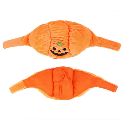 Funny Pumpkin Pet Hat - Cute Halloween Costume For Pets by Dog Hugs Cat