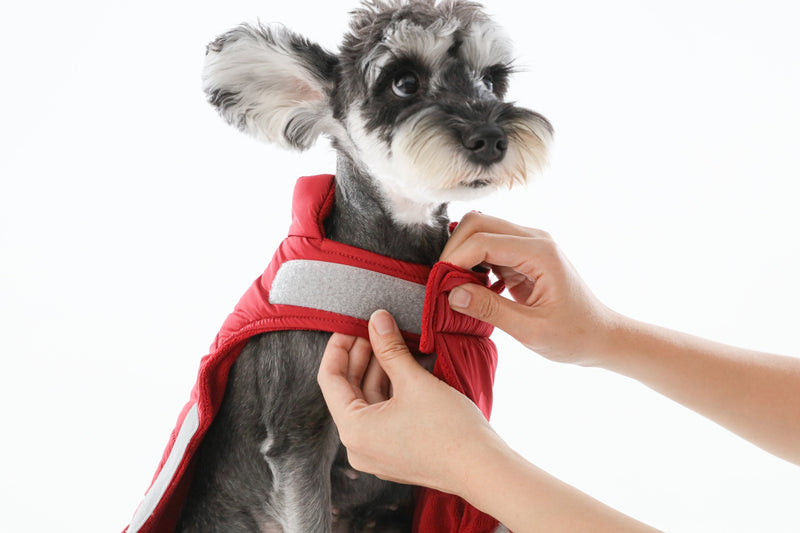 Reversible Dog Vest Jacket - Red by PEHOM