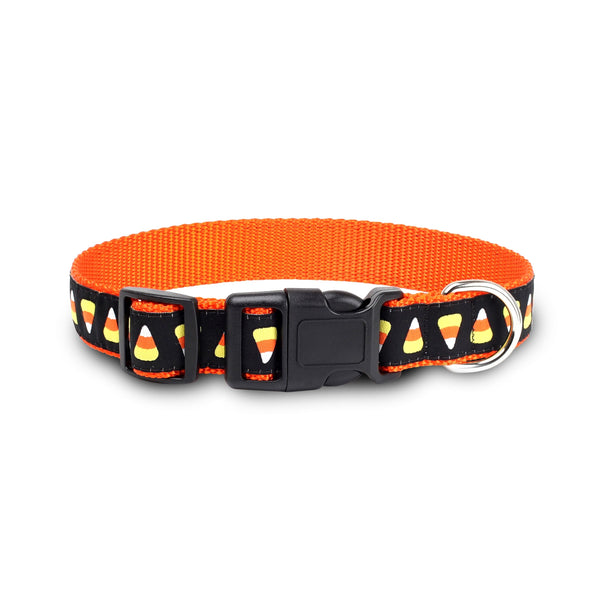 Halloween Collection Candy Corn Dog Collar by Dog Hugs Cat