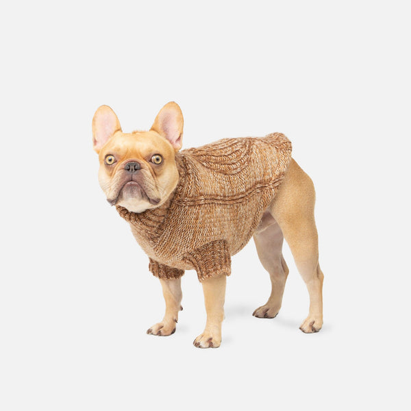 Hazel Dog Sweater, Sherpa-Lined Cable Knit