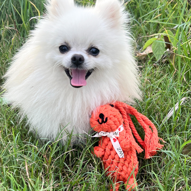 Oliver the Squirrel Rope Toy by Knotty Pawz