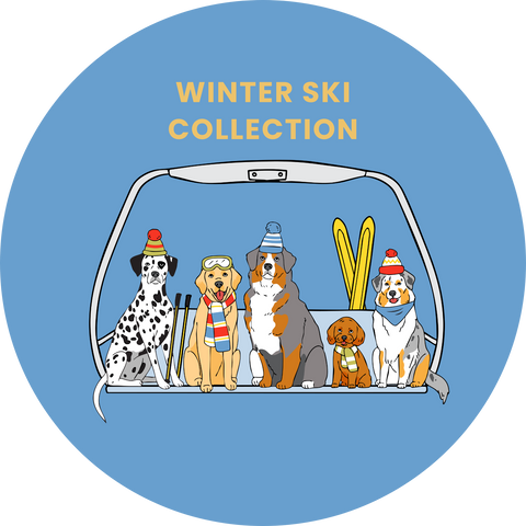 Winter Ski Collection