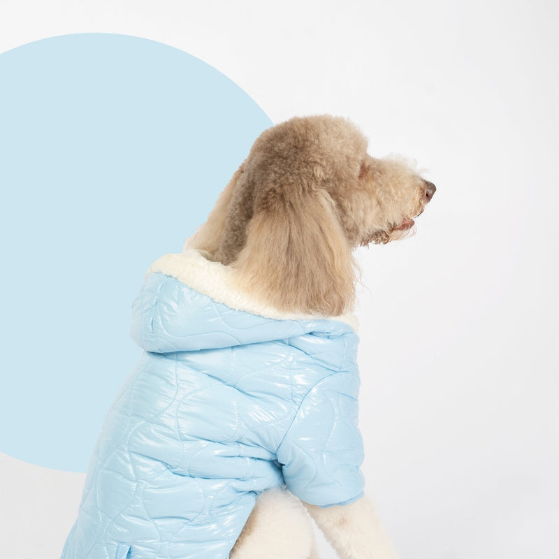 Aspen Dog Jacket