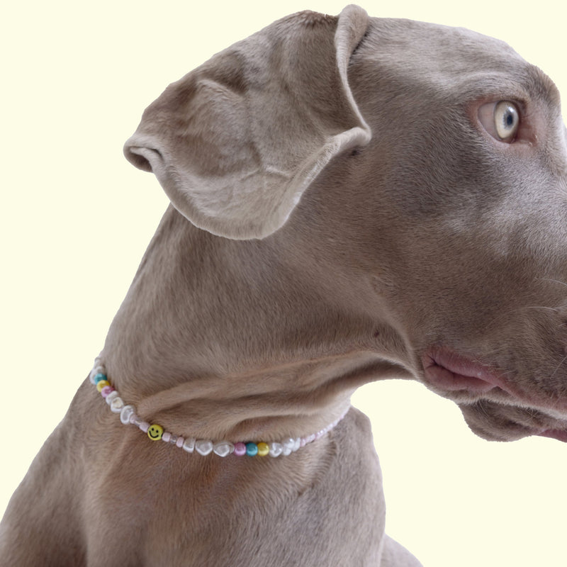 All Smiles Dog Necklace