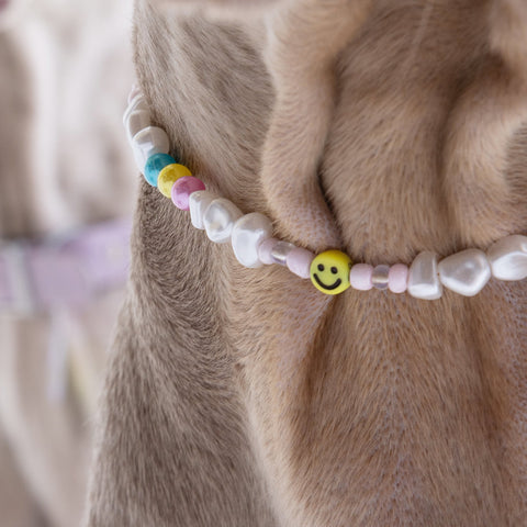 All Smiles Dog Necklace